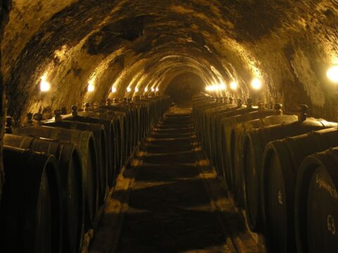 tokaji wine cellar